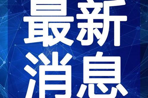 千禧日料爆料视频大全最新,最新爆料视频大全深度解析