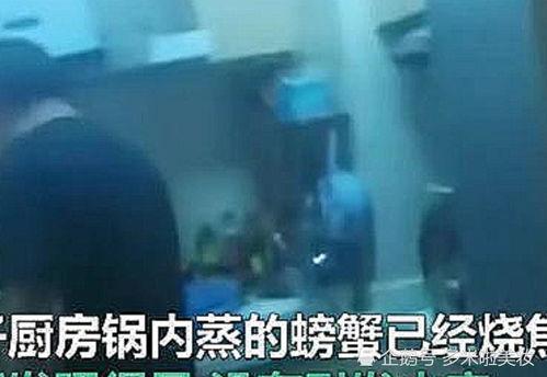 杭州临安偷拍爆料事件最新,隐私边界与网络曝光的较量