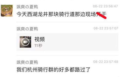 新瓜男女最新爆料视频,视频内容大揭秘