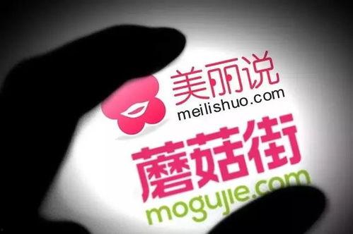 美丽说茶最新爆料,茶界新宠儿的神秘面纱