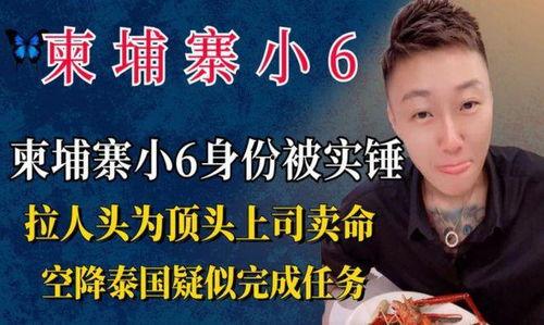柬埔寨小六最新爆料信息,揭秘神秘事件背后的惊人真相